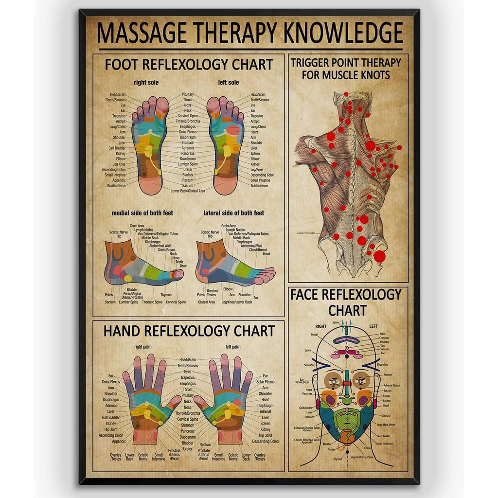 Reflexology Chart นวดบําบัดความรู้โปสเตอร์เท้า Trigger Point Therapy Wall Art ของขวัญสําหรับนวดบําบัดห้องนวดการถ่ายภาพ Wate...