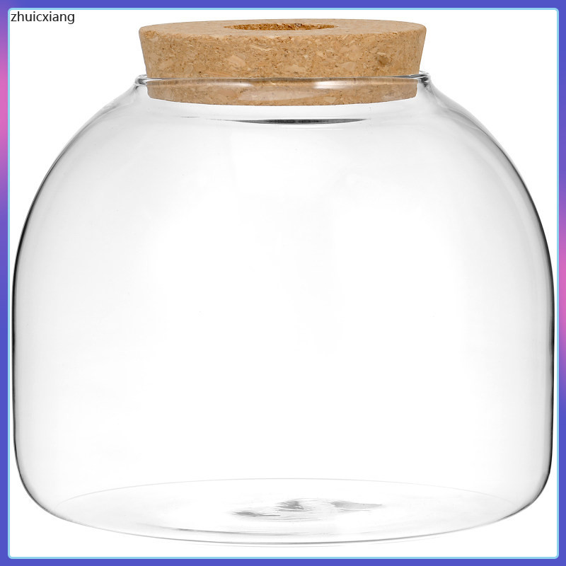 Wake up Jars พืชชามปลา Moss Terrarium Hydroponic Eco ขวดเครื่องประดับแก้ว ซม.โปร่งใส