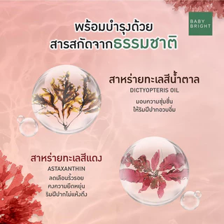ลิปเบบี้ไบร์ทลิปแอนด์ชีคแมทท์ทินท์ ติดทน (1กล่อง=4แท่ง)