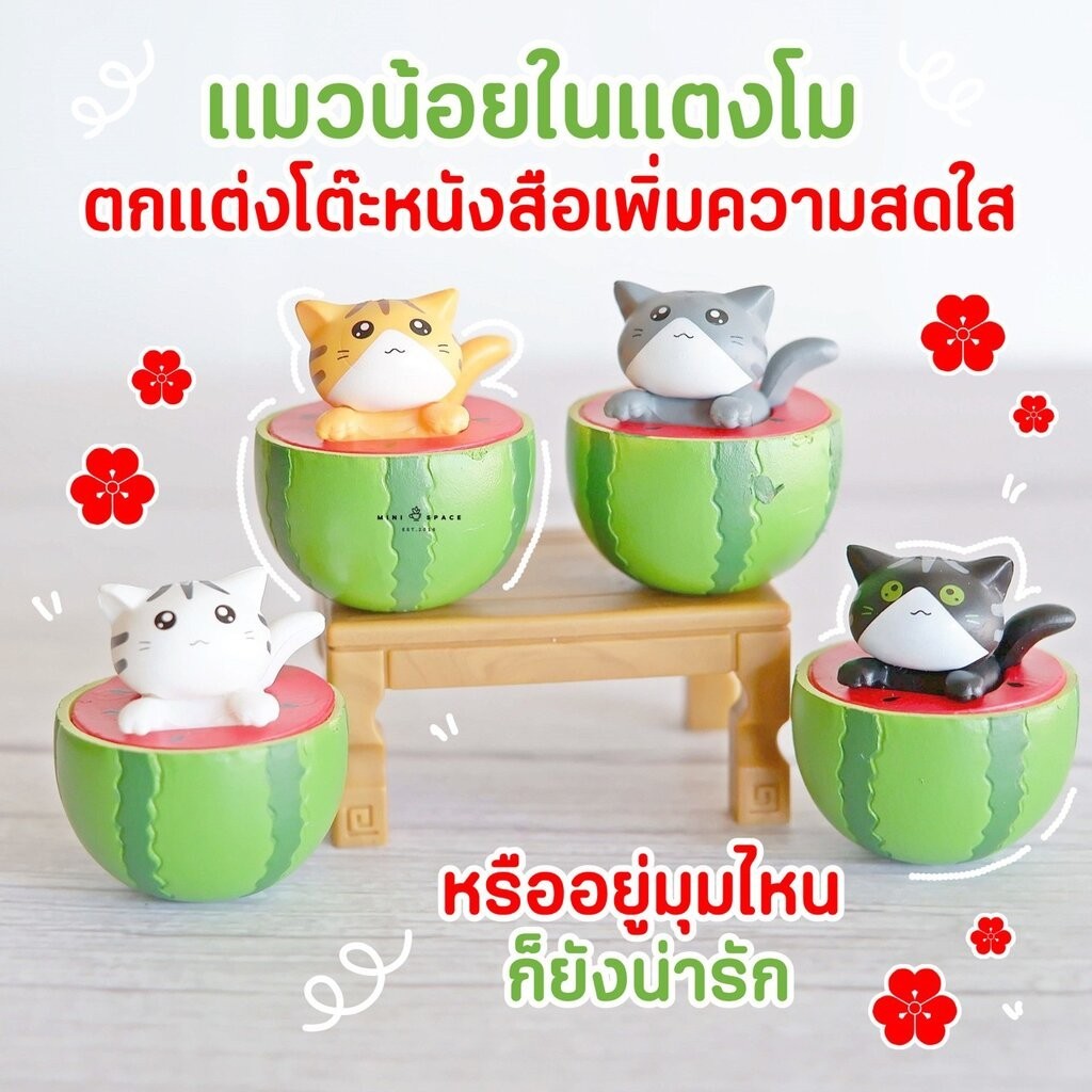 MS5745 โมเดลจิ๋วแมวน้อยแตงโม 4 แบบ ตุ๊กตาจิ๋ว ตุ๊กตาแต่งสวน * ถ่ายจากสินค้าจริง-จากไทย-ชุดสุดคุ้ม
