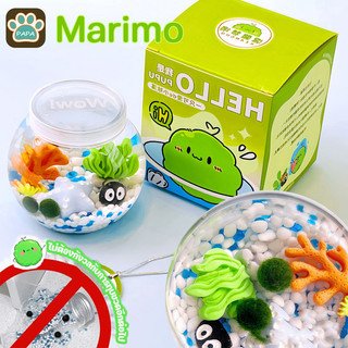 💚Marimo มาริโมะ ชุดพร้อมเลี้ยงมาริโมะ มอสบอล รวมถึงขวดและอุปกรณ์พลาสติก ของขวัญวันเกิด