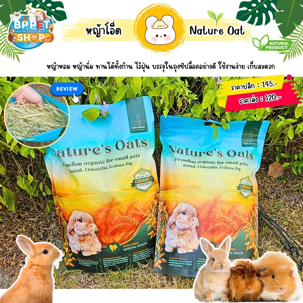 หญ้าโอ็ต Nature Oat หญ้ามายล อาหารกระต่าย แกสบี้ หญ้ากระต่าย Oat Hay อาหารสัตว์เลี้ยง