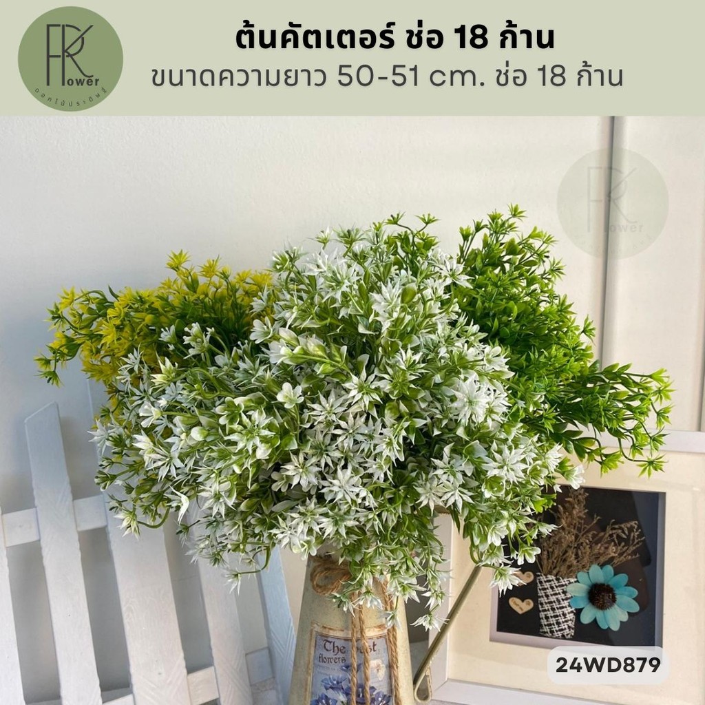 ต้นคัตเตอร์ ช่อ 18 ก้าน ขนาดความยาว 50-51 cm. ช่อ 18 ก้าน