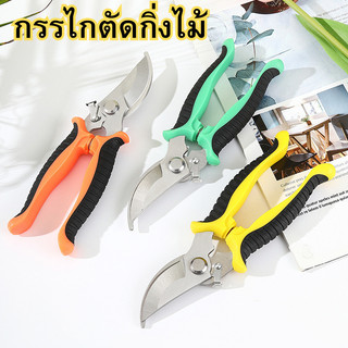 กรรไกรตัดกิ่งไม้ กรรไกรแต่งกิ่ง กรรไกรบอนไซ กรรไกรสแตนเลส กรรไกรสำหรับตัดแต่งกิ่งไม้ ดอกไม้ เครื่องมือจัดทำสวน