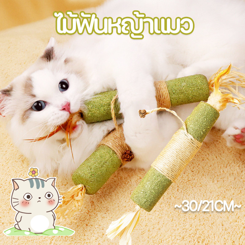 【😸Pet Shop🐶】ใหญ่พิเศษ 30/21CM ไม้ฟันหญ้าแมว ไม้แปรงฟันแมว ช่วยสำรอกก้อนขน ของเล่นแมว