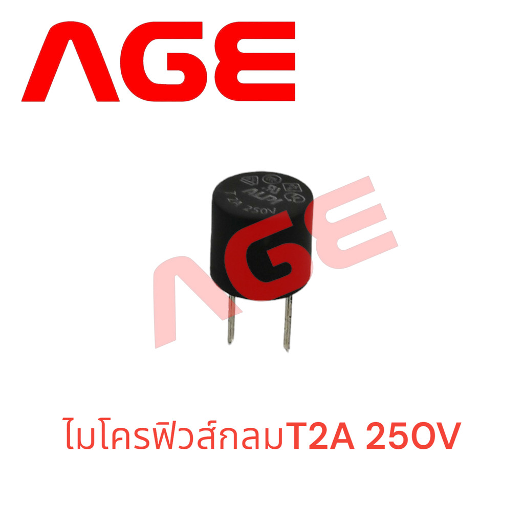 ไมโครฟิวส์กลม Micro FUSE T2A 250V