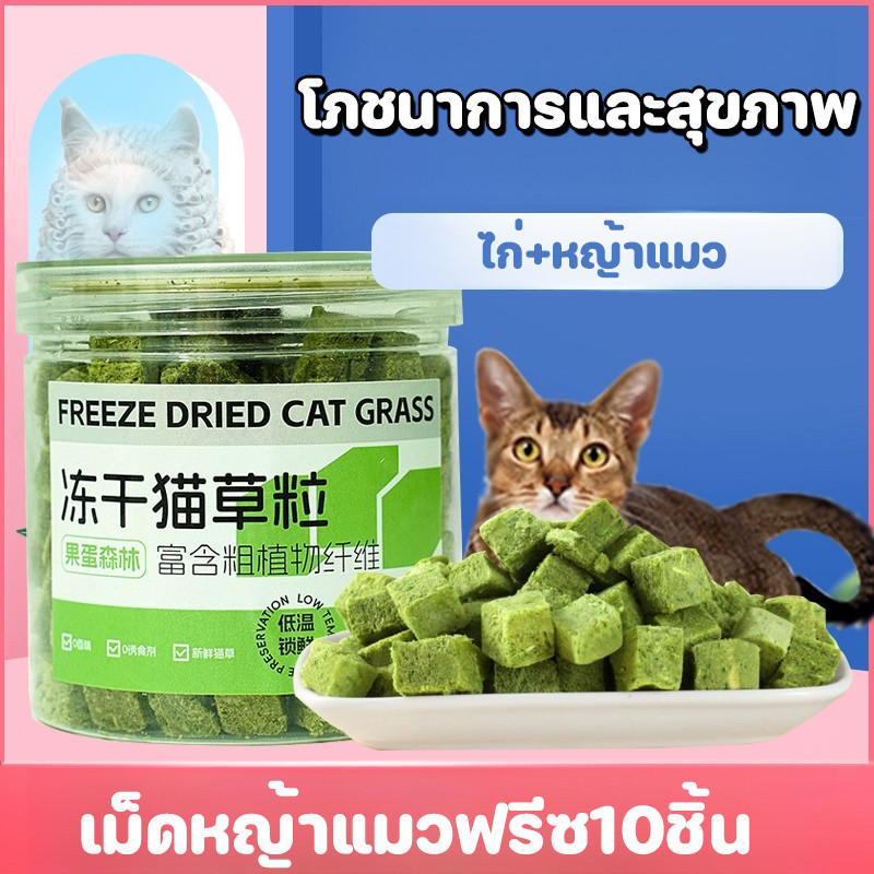 หญ้าแมวฟรีซดราย  ขนมสัตว์เลี้ยง หญ้าแมวอบแห้ง อกไก่ผสมต้นอ่อนข้าวสาลีฟรีซดราย ขนมแมวฟรีซดราย ช่วยสำรอกก้อนขน 50g