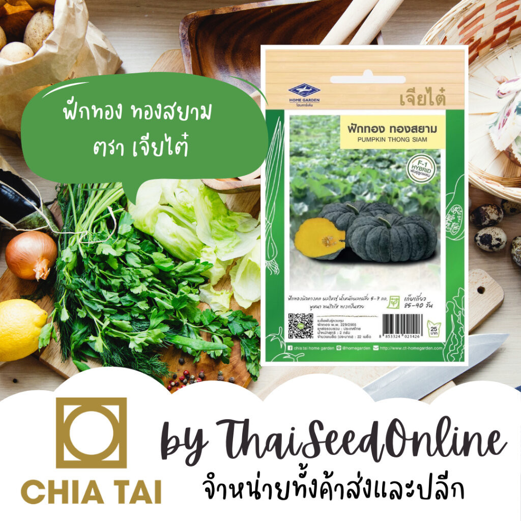 Chia Tai(เจียไต๋) CTF1 เมล็ดพันธุ์ ฟักทองทองสยาม พันธุ์ใหม่ต้านทานไวรัส (ประมาณ 22 เมล็ด) ตราเจียไต๋ Anti-Virus Pumpk...