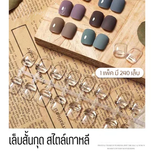 เล็บปลอม สำหรับทาสีตัวอย่าง ชาร์ตสีทาเล็บ สไตล์เกาหลี (ทรงสั้นกุด สีใส แพ็ค 240 เล็บ) *เท่ากันทุกเล็บ
