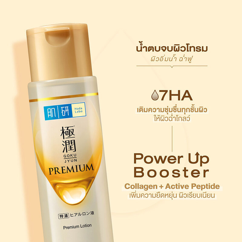 รูปภาพ 8