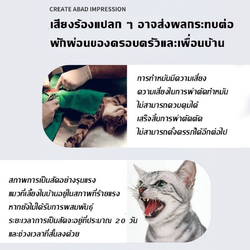 Tailz สเปรย์ฟีโรโมน น้ํายาป้องกันสัตว์เลี้ยง ติดสัตว์ ลดอารมณ์ แมว ป้องกันเสียงโห่ร้อง บรรเทาอารมณ์ ไม่ต้องทําหมัน - รูปที่ 6