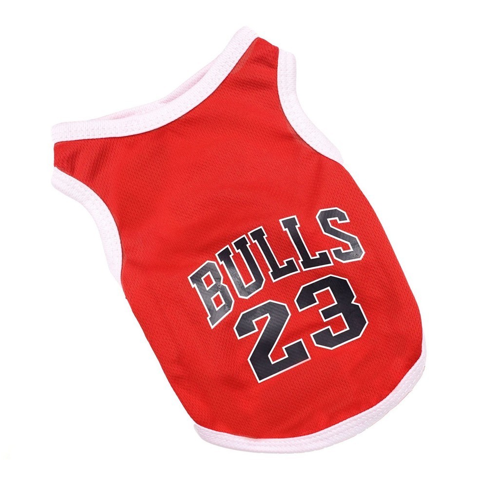 รูปภาพ 6