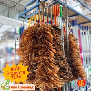 ไม้ปัดขนไก่อย่างดี ไซส์จัมโบ้ XL 75,70,60,50,40 ขนแน่นหนาฟู ไม่หลุดร่วงง่าย ด้ามจับแข็งแรง