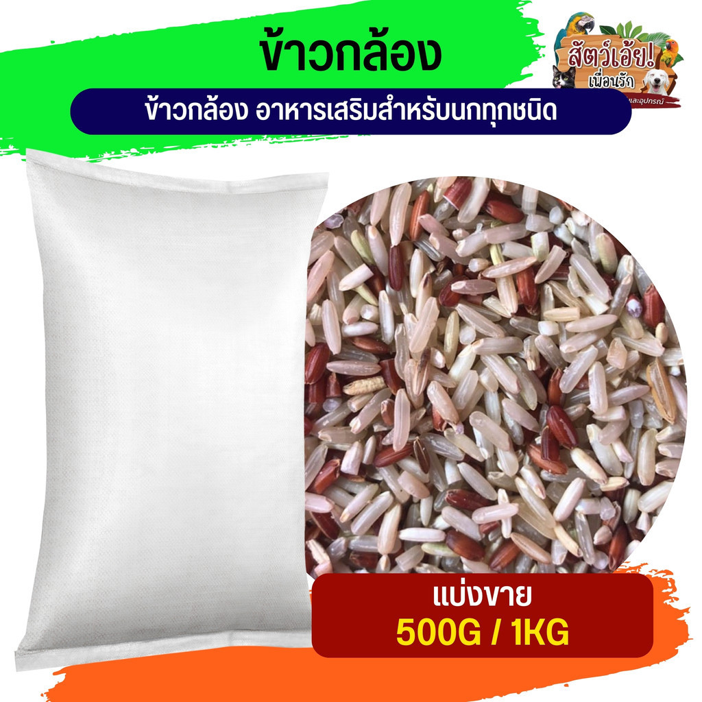 ข้าวกล้อง อาหารเสริมสำหรับนกทุกชนิด (แบ่งขาย 250G/500G/1KG)