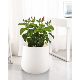 GlobalHouse Tree O กระถางต้นไม้พลาสติก รุ่น 6KD2214-WH ขนาด …