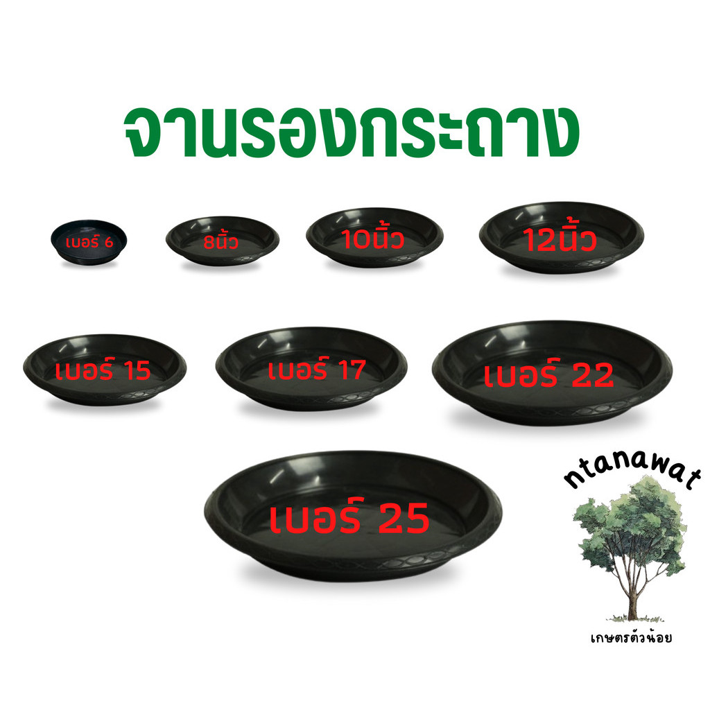 จานรองกระถางต้นไม้ พลาสติก สำหรับรองกระถาง สีดำ 6,8,10,12,15 นิ้ว