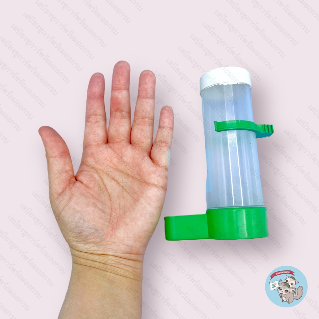 V ( ขวดอาหารฝาขาว สีเขียว ) ขวดน้ำติดกรง ขวดน้ำชูการ์ ขวดน้ำกระรอก ขวดน้ำแฮมสเตอร์ ขวดน้ำนก ขวดน้ำกระต่าย ขวดน้ำแกสบี้