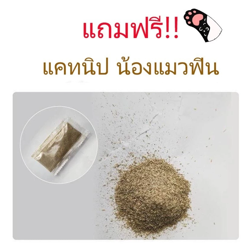 ที่ลับเล็บแมว โซฟากระดาษลูกฟูก แบบ 2 ด้าน ทนทาน thumbnail 3