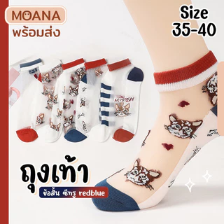 พร้อมส่ง : ถุงเท้า ข้อสั้น หมีมอคค่า 5 คู่ สวยน่ารัก สดใส ใส่ได้ทุกวัน เนื้อผ้านุ่ม แฟชั่น