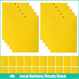 [จัดส่งในพื้นที่] แผ่นสติกเกอร์ดักจับแมลง สองด้าน สําหรับกัน…