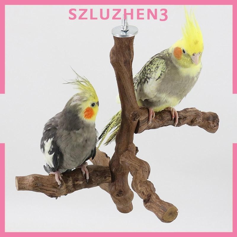 [Szluzhen3] คอนนกเคี้ยว หลายกิ่ง สําหรับ Cockatiels Macaws