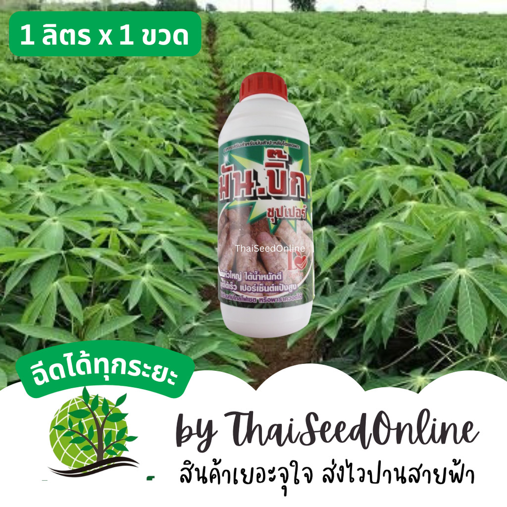 D ฮอร์โมนมัน สูตรลงหัว มันหัวใหญ่ มันบิ๊ก 1 ลิตร