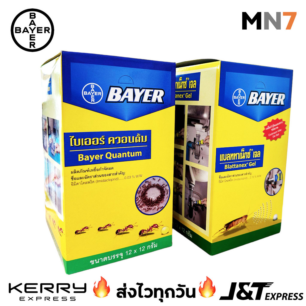 💥ส่งไวทุกวัน💥 Bayer Quantum เจลกำจัดมด & Blattanex เจลกำจัดแมลงสาบ 12g - 1 กล่อง 12 ชิ้น MN7