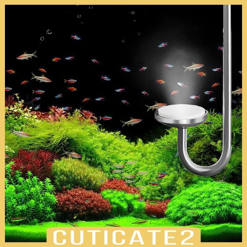 [Cuticate2] เครื่องกลั่น CO2 CO2 สําหรับระบบไหลเวียนถังไฮโดรโปนิกส์