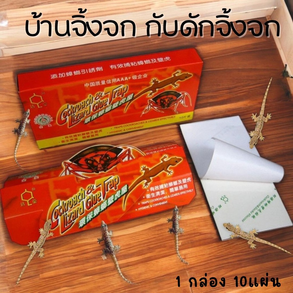บ้านจิ้งจก กับดักจิ้งจก ( 1กล่อง 10แผ่น) กาวติดแน่น ไม่มีสารเคมี #AI-0010