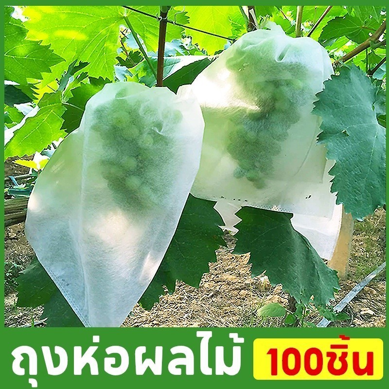 พร้อมส่🏡ถุงห่อผลไม้ 100pcs ถุงห่อฝรั่ง มะม่วง องุ่น และอื่นๆ ปกป้องต้นไม้ผลไม้ของคุณ
