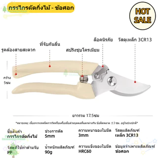 [พร้อมส่ง] กรรไกรตัดกิ่งไม้ แต่งกิ่งไม้ ปากโค้ง ปากตรง ขนาด 7 นิ้ว สีครีม