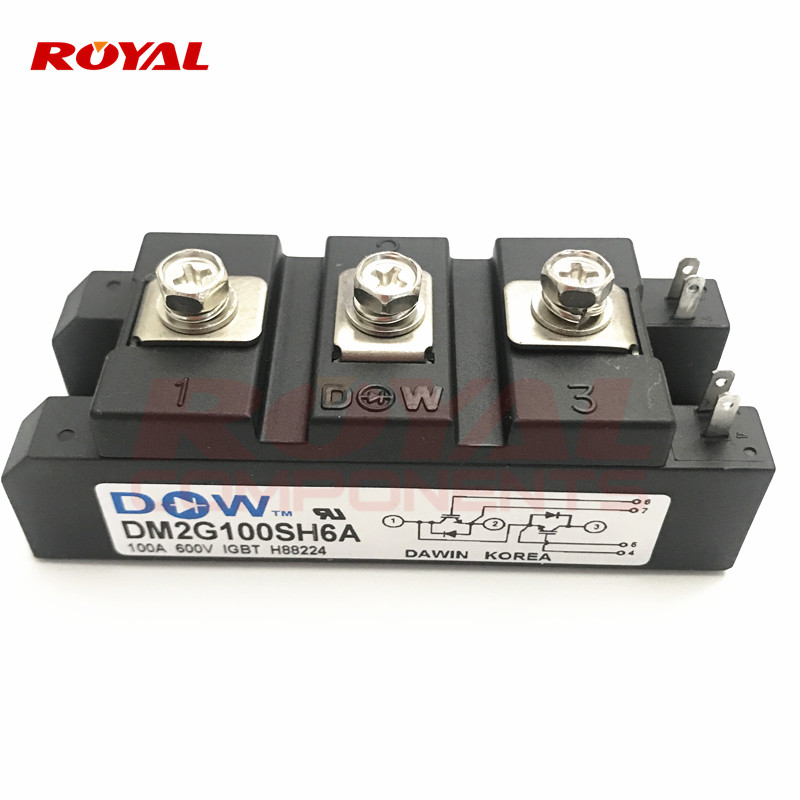 DM2G100SH6A DM2G100SH6N โมดูลเดิม