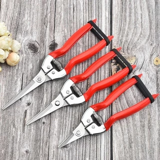 SWEETSASHA 1 ชิ้นตัดแต่งกิ่งต้นไม้เฉือน, Leaf Trimmer ทําสวนกรรไกร, มือ Pruner ตรง Florist กรรไกรเครื่องมือ Micro-Tip ตัดแต่งกิ่ง Snips