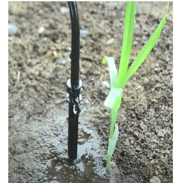 Super Products ขาปักน้ำหยดกระถาง 4มม 1 ถุง มี 50 ชิ้น ใช้กับท่อไมโคร MT/PE 5/7 มม. ใช้สำหรับปักดิน และลำเรียงน้ำ - รูปที่ 3