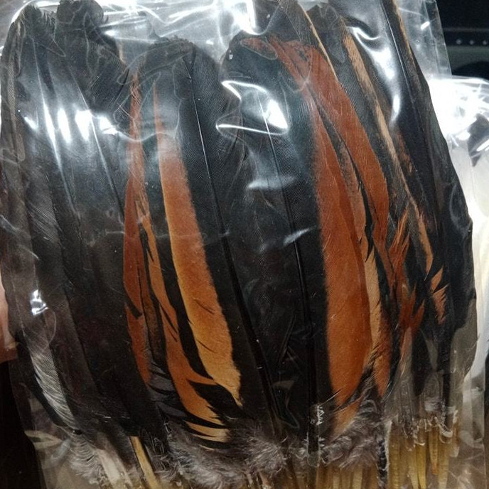 สีกรด ดำแดง [ใช้โค๊ดส่วนลดได้-ส่งฟรี ] ปีกไก่ชนสวยๆ  1 ชุด=12+12 เส้น