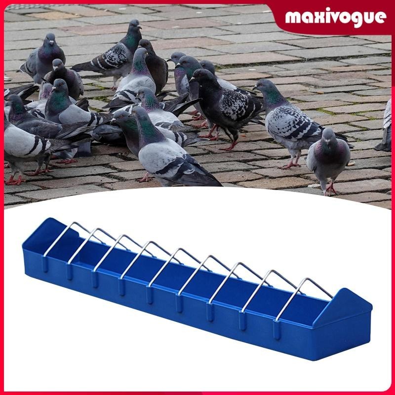[Maxivogue] กล่องให้อาหารไก่ นกพิราบ สําหรับสวนหลังบ้าน