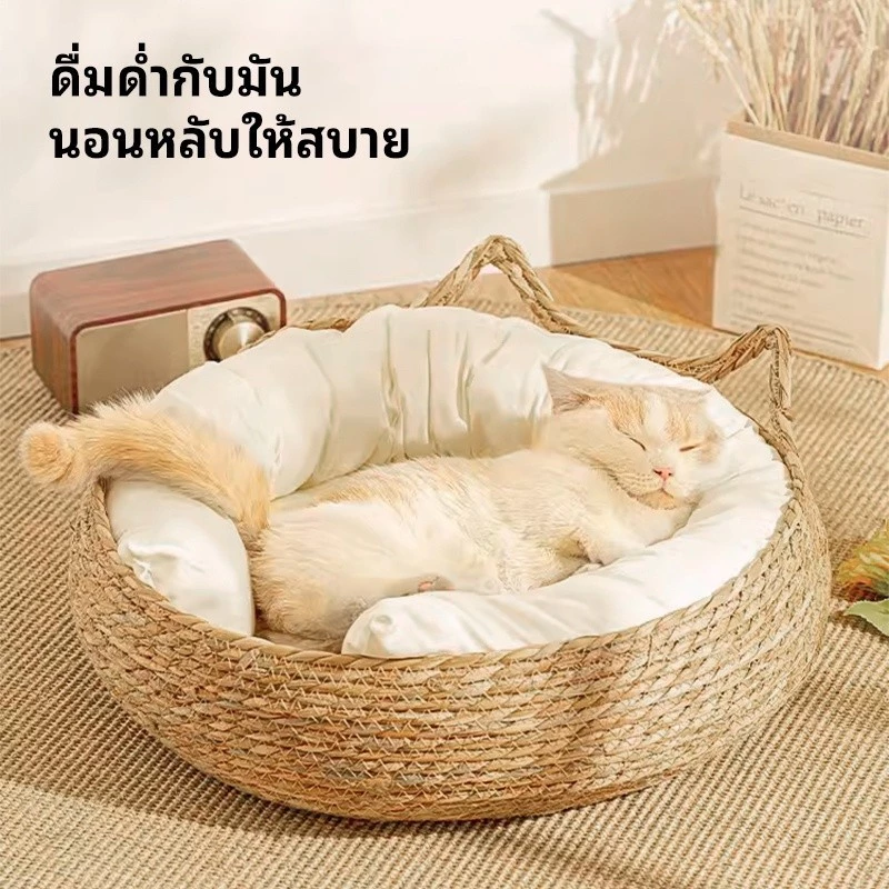ครอกแมว เสื่อแมว แผ่นลับเล็บแมว กรงเล็บบด thumbnail 3