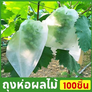 ถุงห่อผลไม้กันเเมลง ถุงห่อมะม่วง 20x25cm (แพ็ค 100ใบ) ถุงผ้า…