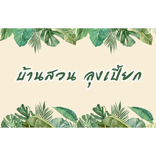 ตันพันธุ์ มังคุดต้นเตี้ย มีความสุง ไม่เกิน 3 เมตร ปลูกง่าย โตไว ทนต่อโรค