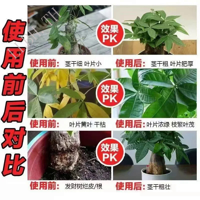 Universal Nitrogen Phosphorus Potassium Slow-release Fertilizer Compound Fertilizer for Green Plants