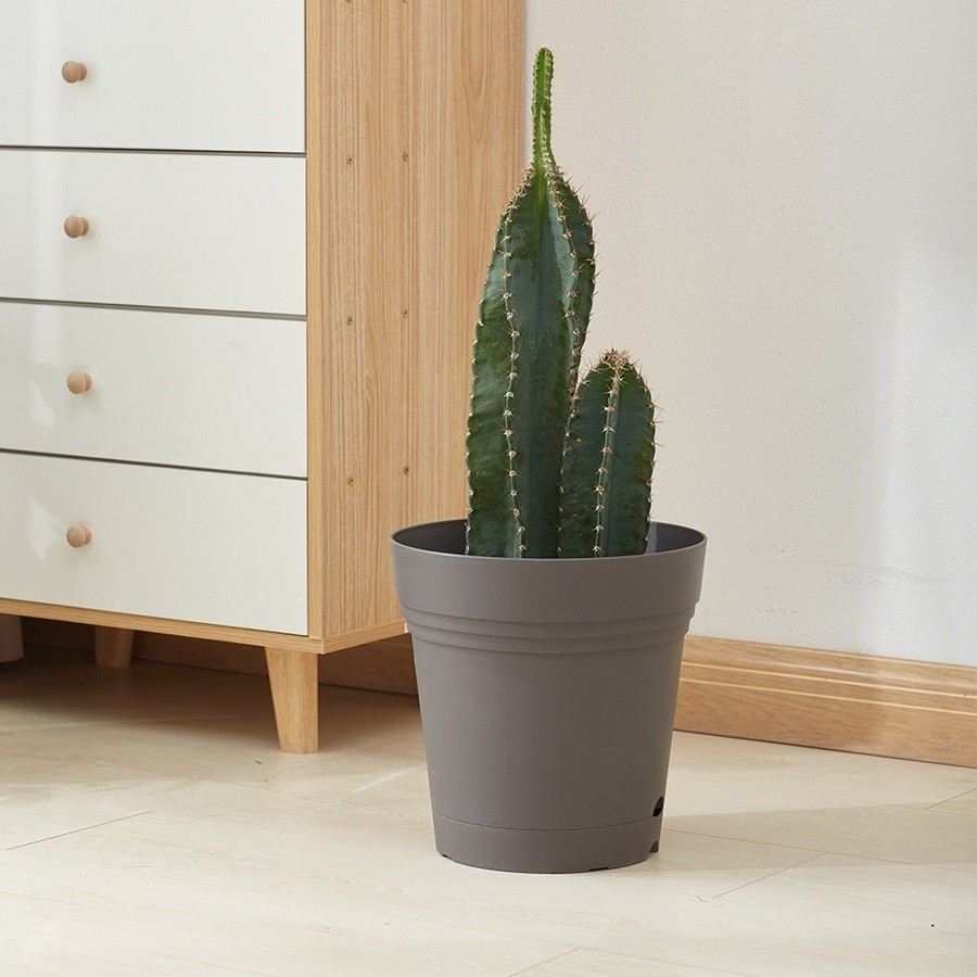 GlobalHouse Tree‘O กระถางต้นไม้อัจฉริยะ รุ่น6PY065-GY ขนาด16x16ซม.(6นิ้ว) สีเทา สินค้าของแท้คุณภาพดี