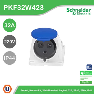 Schneider Socket, Mureva PK, wall-mounted, angled, 32A, 2P+E, 220V, IP44 l PKF32W423 สั่งซื้อได้ที่ร้าน Ucanbuys