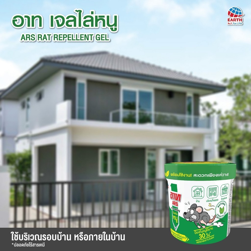 รูปภาพ 6