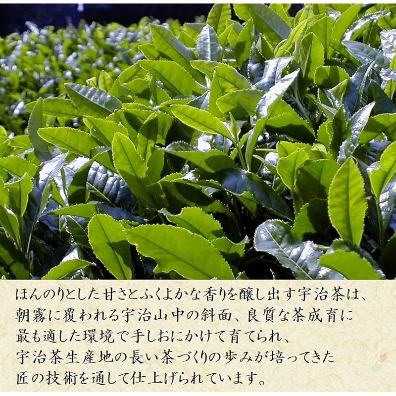 มัทฉะ Premium Kiyosen Uji Matcha 100g Matcha Powder (heki/ryoku/sui) 【ส่งตรงจากญี่ปุ่น】 - รูปที่ 3