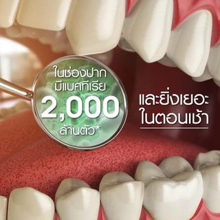 Dentiste' ยาสีฟันพร้อมแปรงสีฟันขนาดพกพา Travel Pack Foldable ยาสีฟัน original 20g. + แปรงสีฟันพับได้