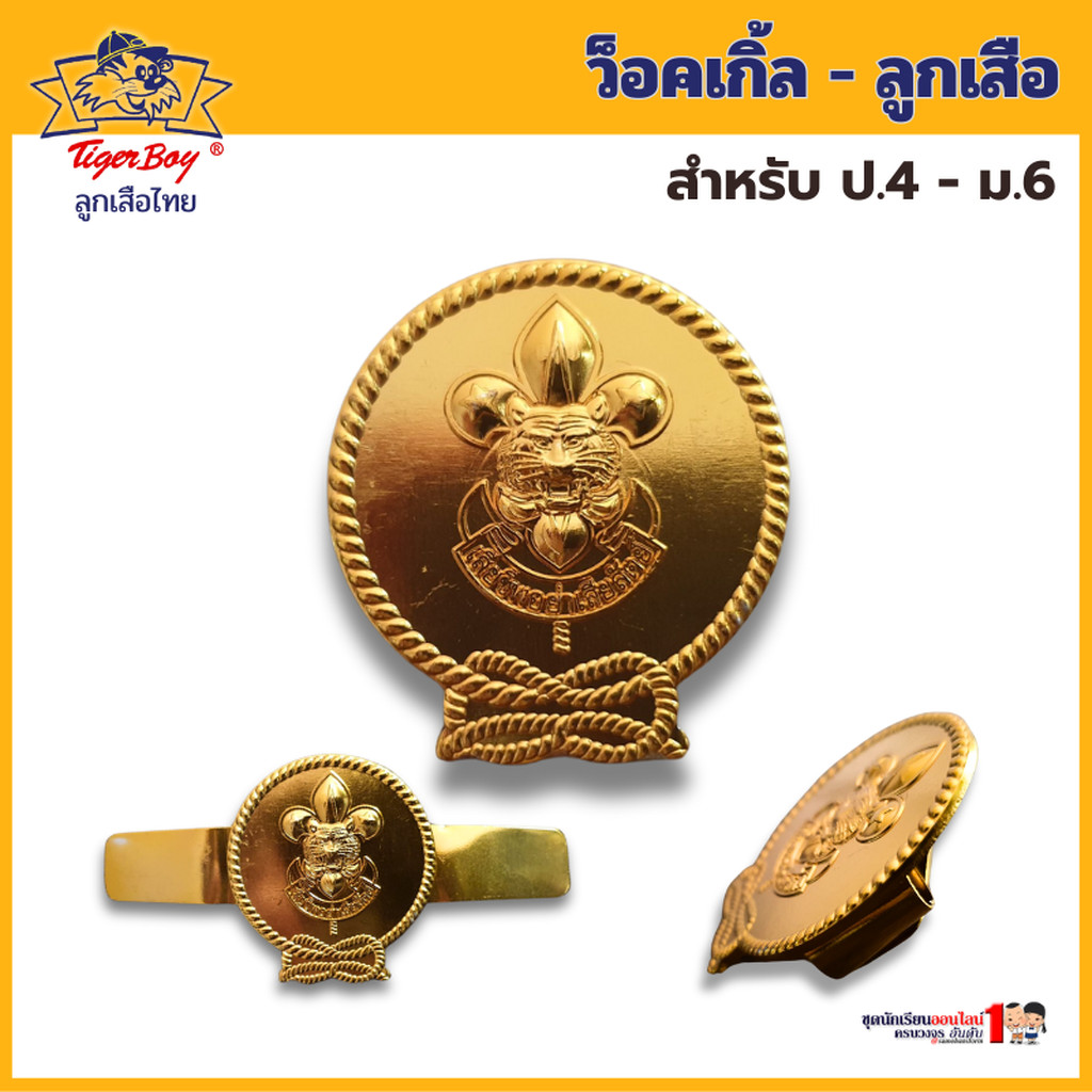 ว็อคเกิ้ล ลูกเสือ สามัญ สำหรับ ประถม - มัธยม