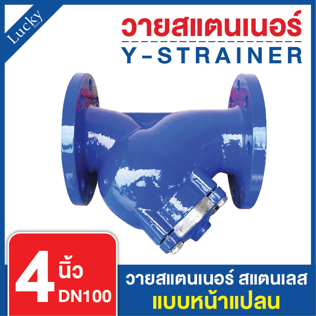 Y Strainer วายสแตนเนอร์ เหล็กหล่อ ขนาด 4 นิ้ว แบบหน้าแปลน