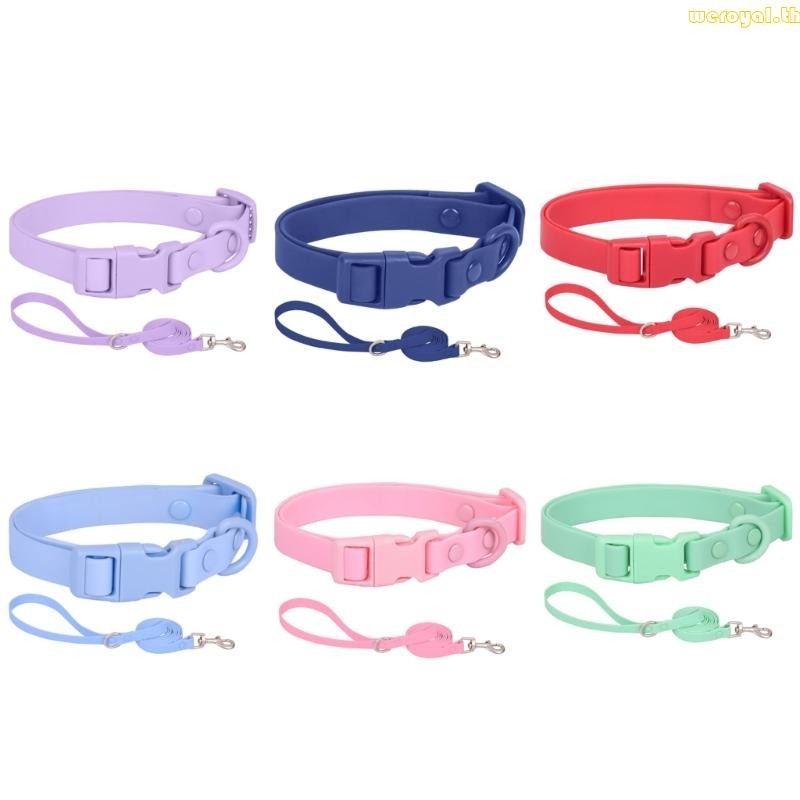 Weroyal ปลอกคอสุนัข กันน้ํา ปรับความยาวได้ สีมาการอง พร้อมสายจูง ขนาดกลาง ขนาดใหญ่ อุปกรณ์เสริม สําหรับฝึกสุนัข