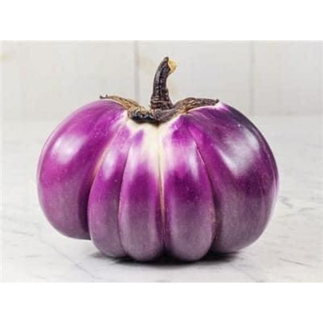 เมล็ดพันธุ์ มะเขือ จานม่วง มะเขือเปราะจานสีม่วง 40-100 เมล็ด มีคู่มือ [ซื้อ 10 แถม 1 คละได้]