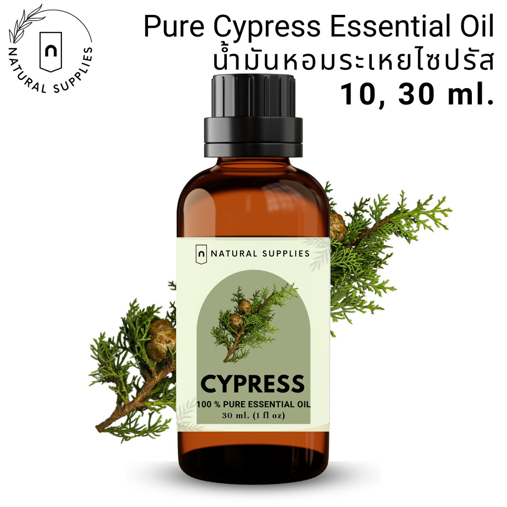 Pure Cypress Essential oil น้ำมันหอมระเหย ไซเปรส บริสุทธิ์ ขนาด 10, 30 ml. by Natural Supplies